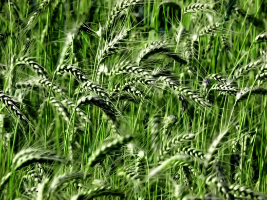 40939 (a): :1600x1200